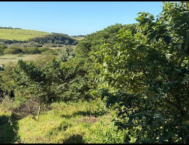 LAND FOR SALE IN ZINI RIVER ESTATE